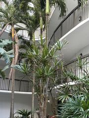 1357 NE Ocean Boulevard 316, Stuart, FL 34996