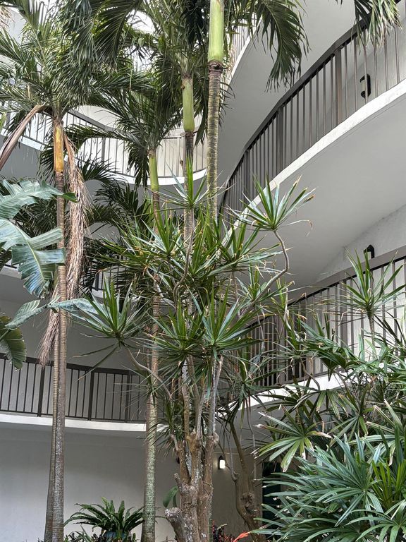 1357 NE Ocean Boulevard 316, Stuart, FL 34996