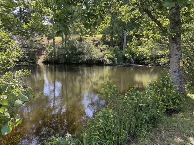 1131 Ada Street, Blue Ridge, GA 30313
