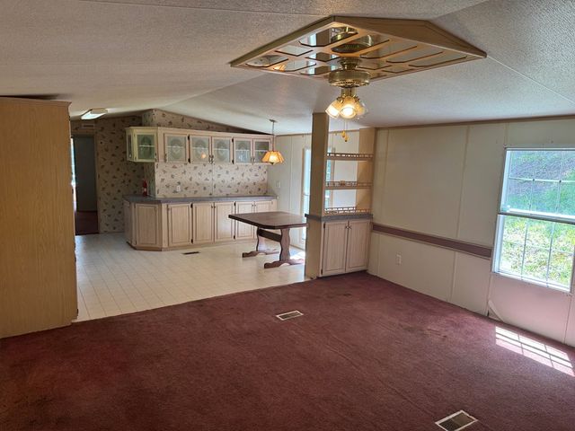 1131 Ada Street, Blue Ridge, GA 30313