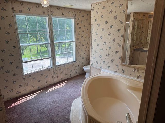 1131 Ada Street, Blue Ridge, GA 30313