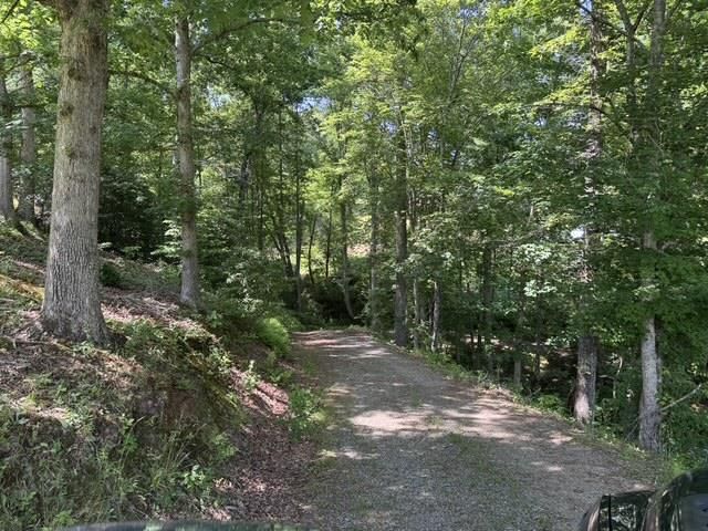 1131 Ada Street, Blue Ridge, GA 30313