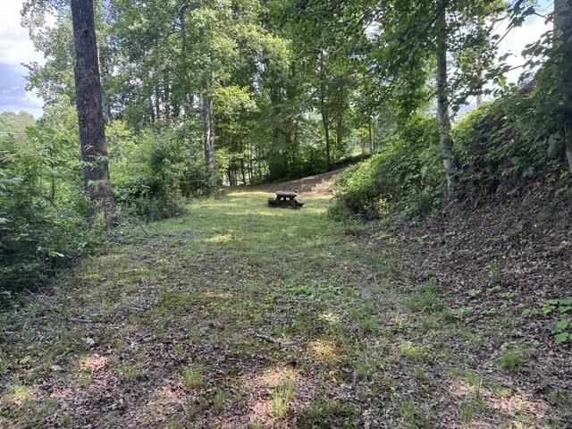 1131 Ada Street, Blue Ridge, GA 30313