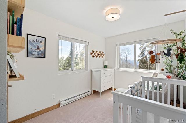 11544 Green Court, Conifer, CO 80433