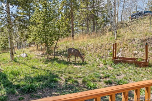 11544 Green Court, Conifer, CO 80433