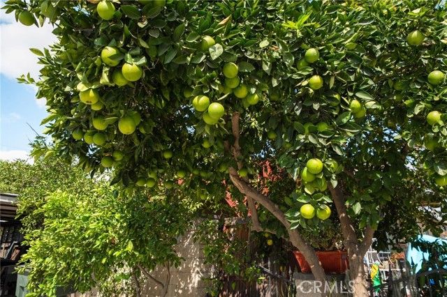 6757 Clifford, Riverside, CA 92504