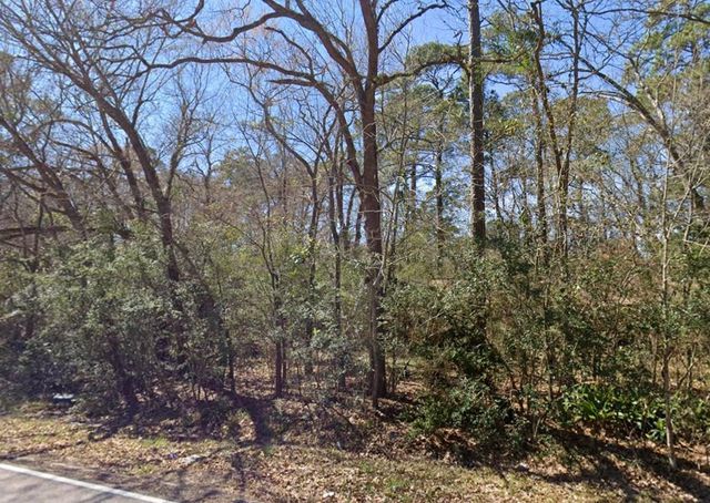 29803 Spring Forest Drive, Spring, TX 77386