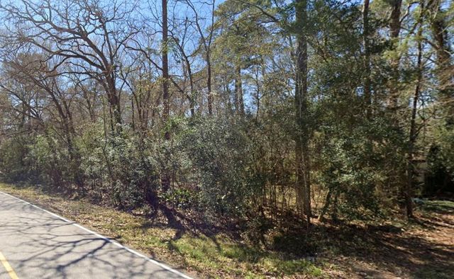 29803 Spring Forest Drive, Spring, TX 77386