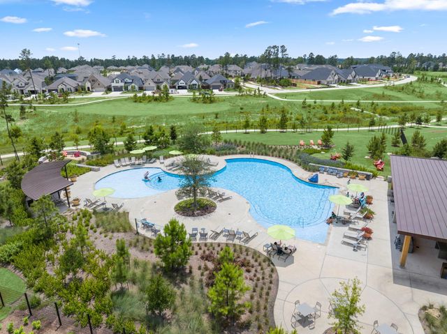 13087 Soaring Forest Drive, Conroe, TX 77302