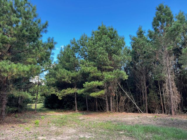 1 Eugene Walker Road, Huntington, TX 75980