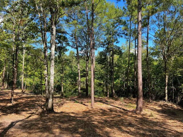 1 Eugene Walker Road, Huntington, TX 75980