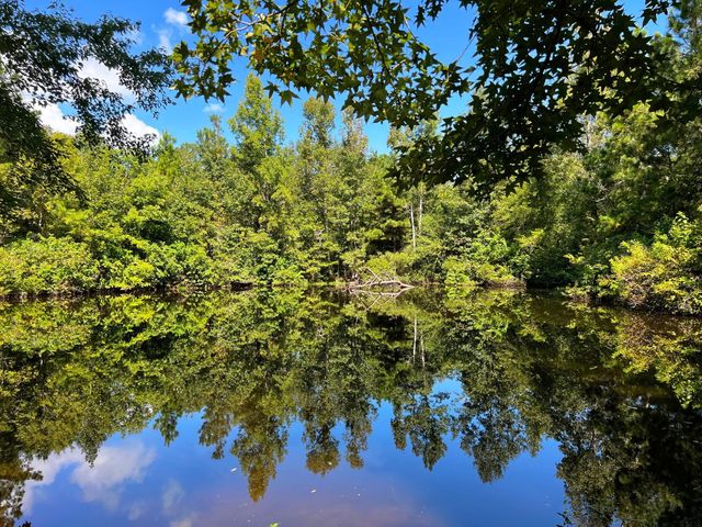 1 Eugene Walker Road, Huntington, TX 75980