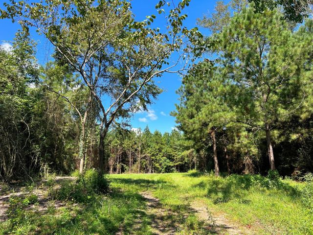 1 Eugene Walker Road, Huntington, TX 75980