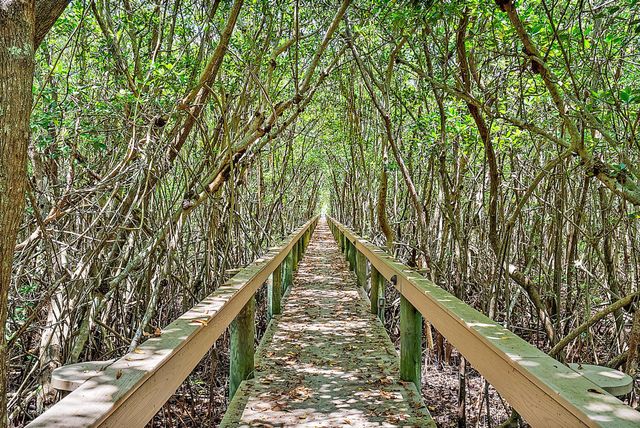 9149 SE Mystic Cove Terrace, Hobe Sound, FL 33455