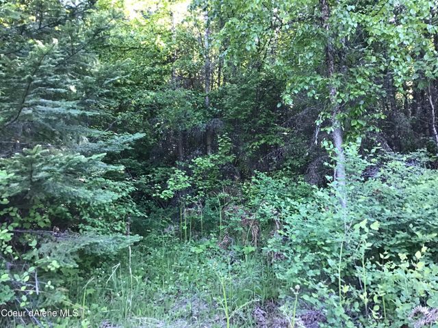 RUFUS TRAIL LTS 4,5,6,7, St. Maries, ID 83861