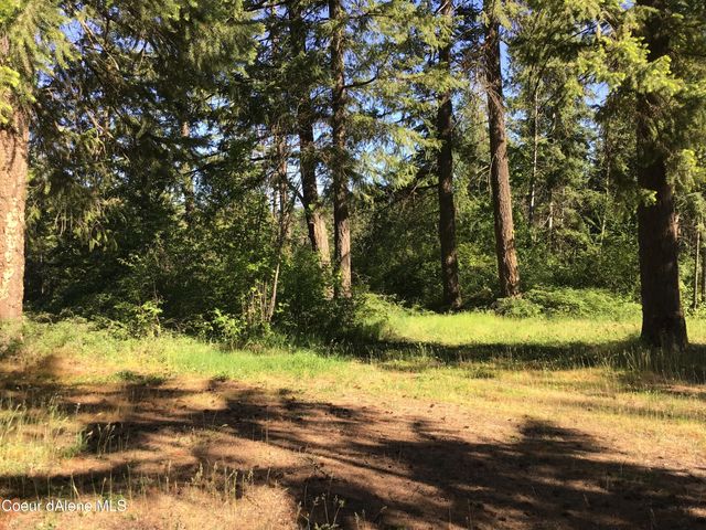 RUFUS TRAIL LTS 4,5,6,7, St. Maries, ID 83861
