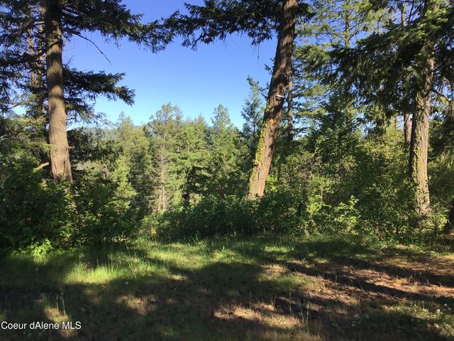 RUFUS TRAIL LTS 4,5,6,7, St. Maries, ID 83861