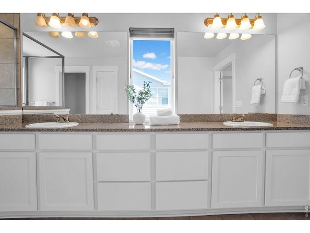 2104 Gather Ct, Windsor, CO 80550