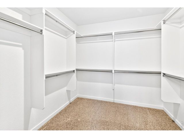 2104 Gather Ct, Windsor, CO 80550