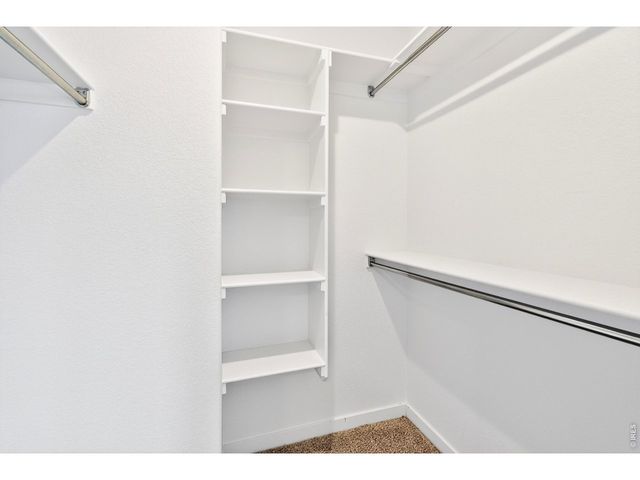 2104 Gather Ct, Windsor, CO 80550