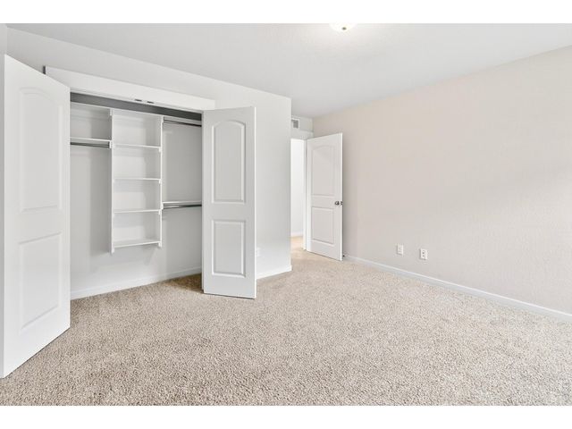 2104 Gather Ct, Windsor, CO 80550
