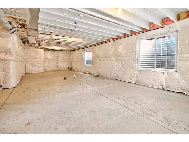 2104 Gather Ct, Windsor, CO 80550