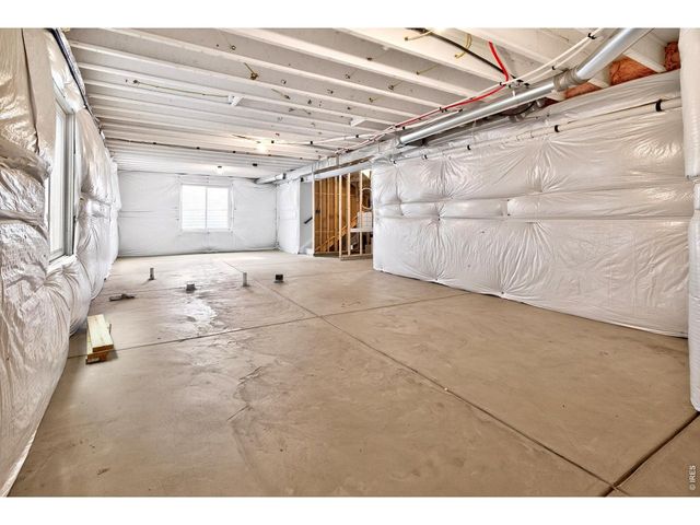 2104 Gather Ct, Windsor, CO 80550