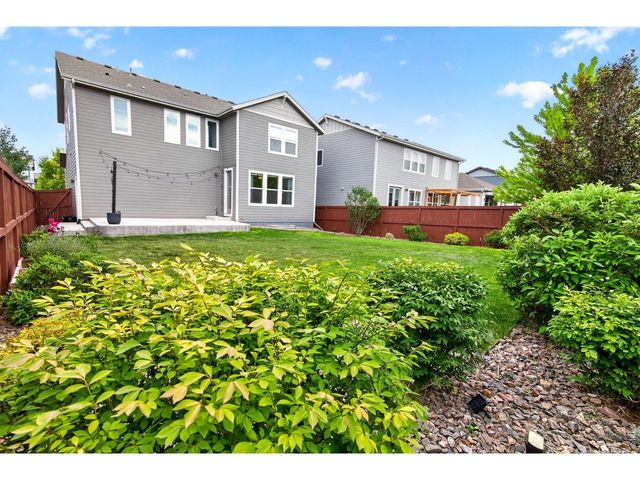 2104 Gather Ct, Windsor, CO 80550