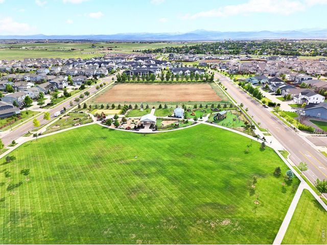 2104 Gather Ct, Windsor, CO 80550