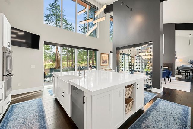 1188 Sky View Lane, Larkspur, CO 80118
