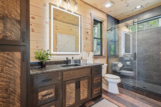 250 Wolf Creek Circle, Mineral Bluff, GA 30559