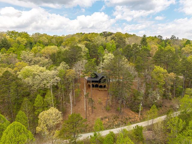 250 Wolf Creek Circle, Mineral Bluff, GA 30559