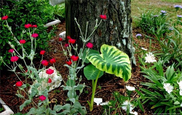 104 Oxford Court, West End, NC 27376