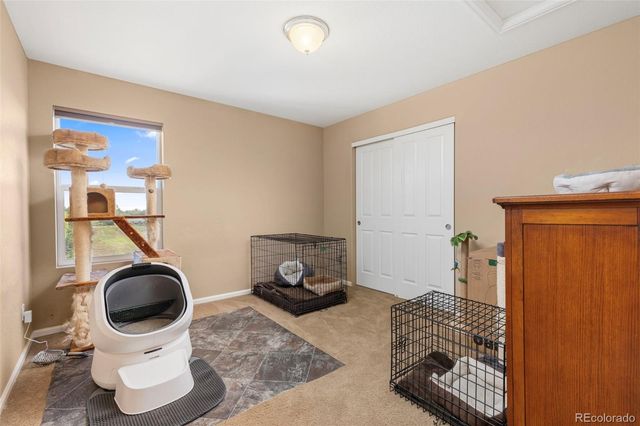 6246 Walnut Grove Street, Erie, CO 80516