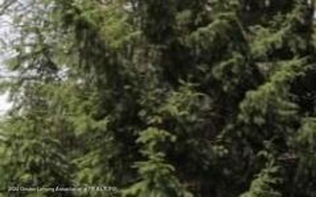 4118 Sebring Drive, Lansing, MI 48911