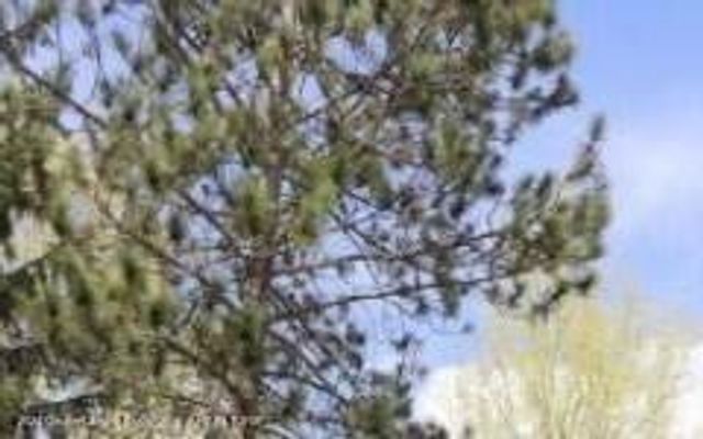 4118 Sebring Drive, Lansing, MI 48911