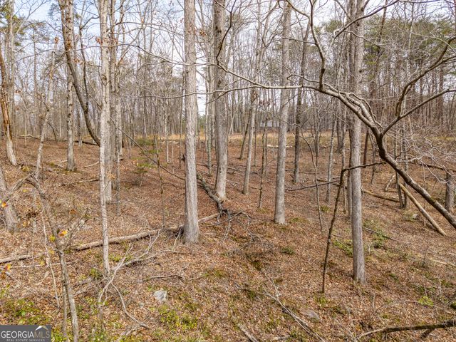 LT 167 Henderson Mountain Road, Jasper, GA 30143