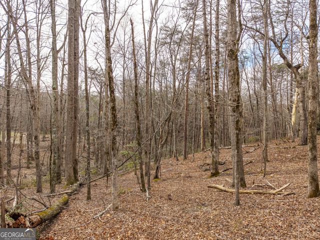 LT 167 Henderson Mountain Road, Jasper, GA 30143