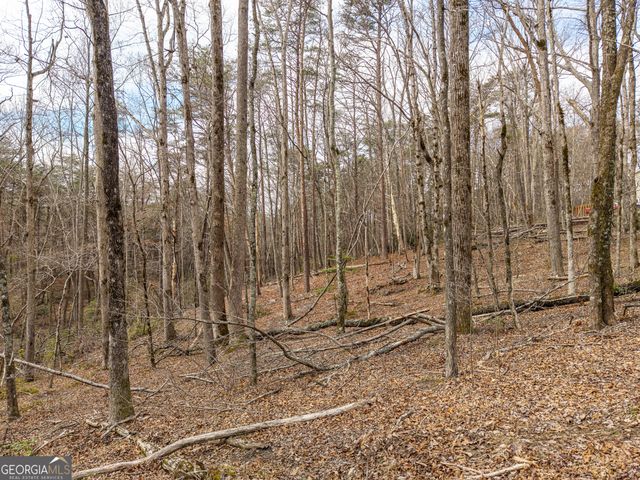 LT 167 Henderson Mountain Road, Jasper, GA 30143