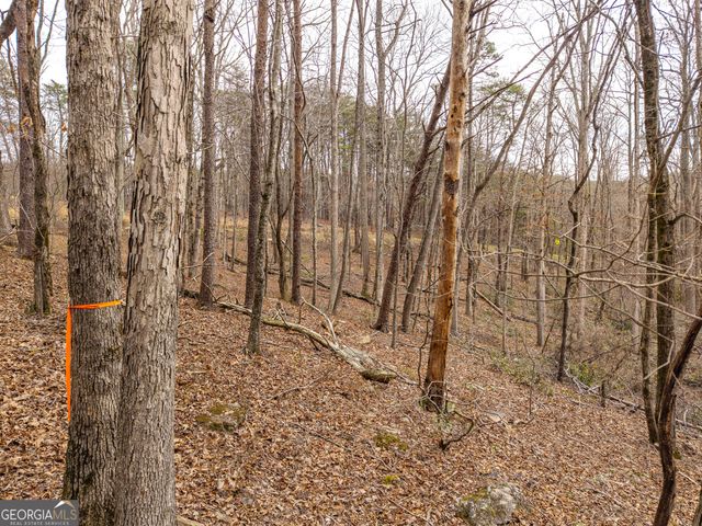 LT 167 Henderson Mountain Road, Jasper, GA 30143