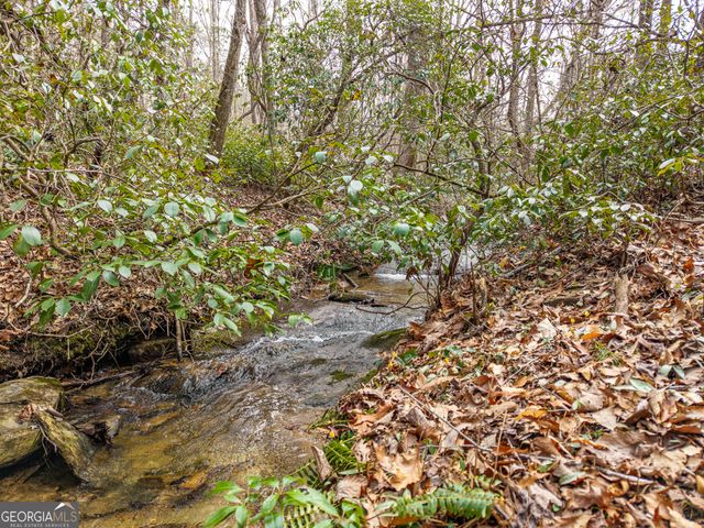 LT 167 Henderson Mountain Road, Jasper, GA 30143