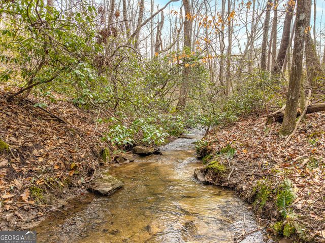 LT 167 Henderson Mountain Road, Jasper, GA 30143