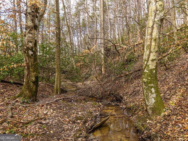 LT 167 Henderson Mountain Road, Jasper, GA 30143