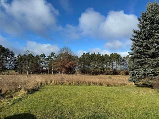 524 S Cherry Street, Evart, MI 49631