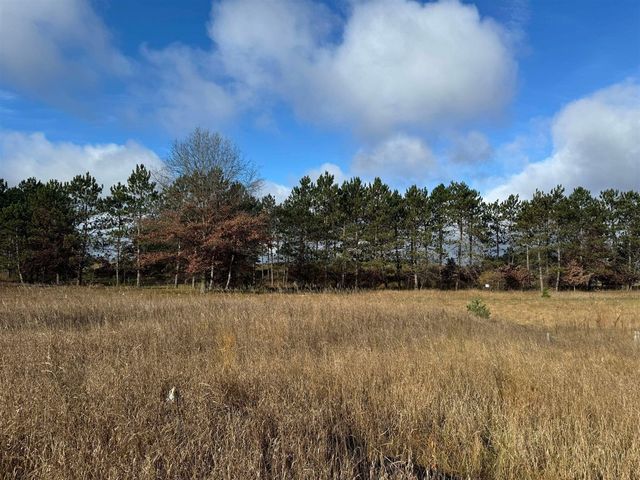 524 S Cherry Street, Evart, MI 49631