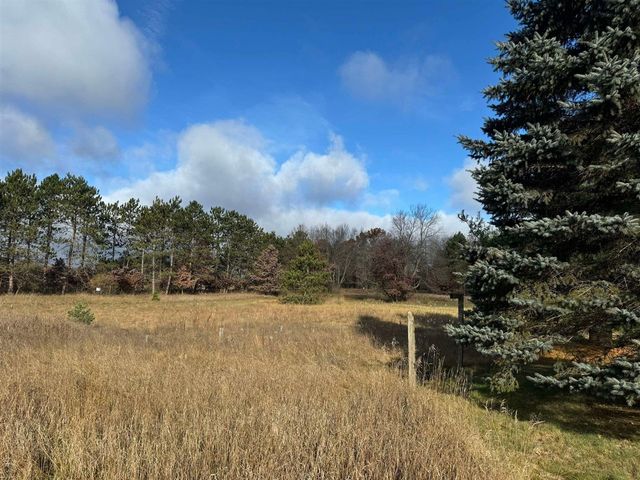 524 S Cherry Street, Evart, MI 49631