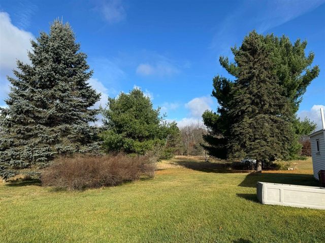 524 S Cherry Street, Evart, MI 49631