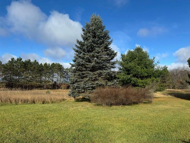 524 S Cherry Street, Evart, MI 49631