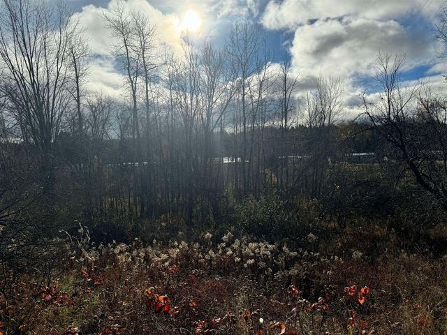 524 S Cherry Street, Evart, MI 49631