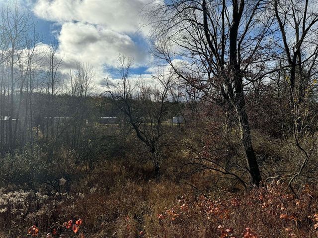 524 S Cherry Street, Evart, MI 49631